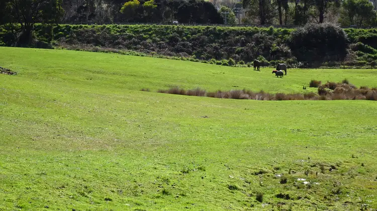 Fifth view of Homely land listing, 8 Linden Heights, Don TAS 7310