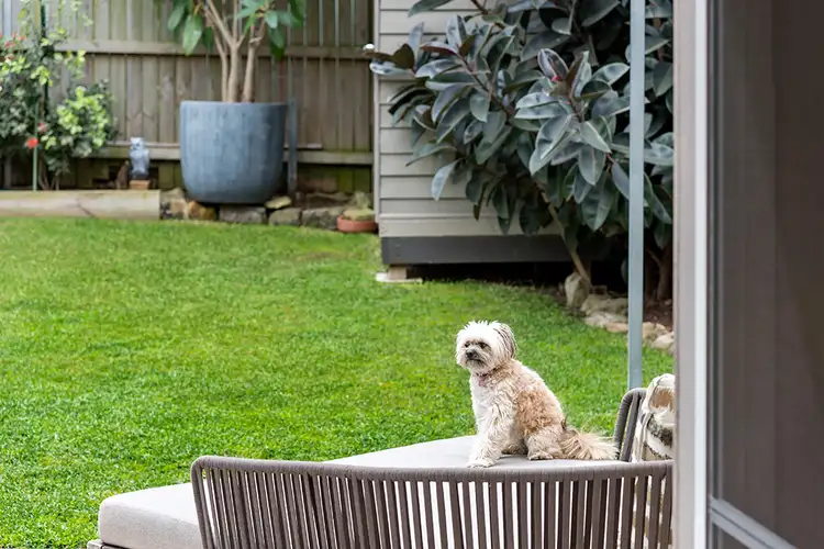 Sixth view of Homely house listing, 2/39 Prince Street, Mosman NSW 2088