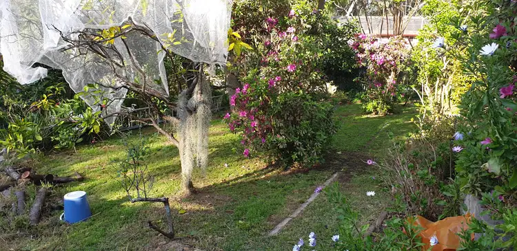 Sixth view of Homely house listing, 99 Beaconsfield Road, Chatswood NSW 2067