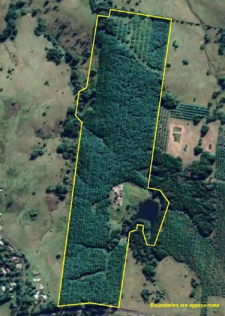 1360 Lismore Road, Clunes NSW 2480