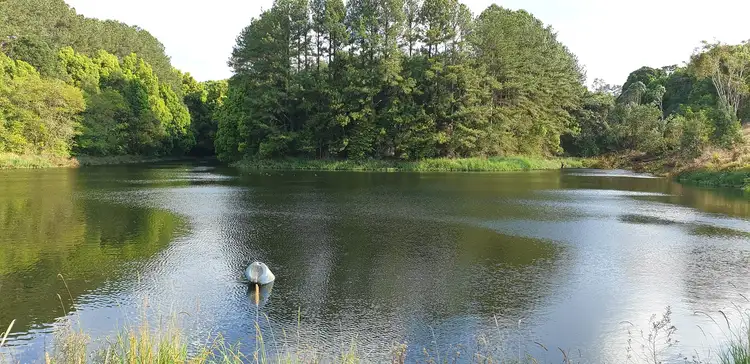 Second view of Homely rural property listing, 1360 Lismore Road, Clunes NSW 2480