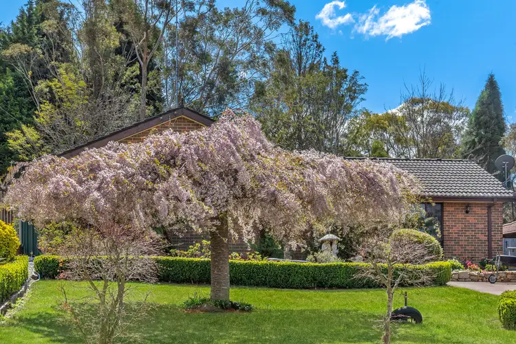 Second view of Homely house listing, 23 Cook Rd, Wentworth Falls NSW 2782