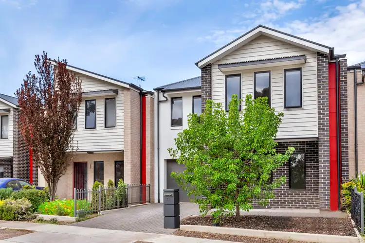 77 Appleby Road, Morphettville SA 5043