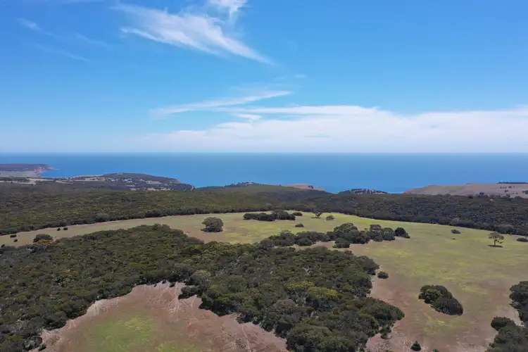 Lot 3 North Coast Road, Cassini SA 5223