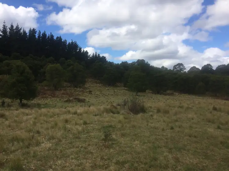 Lot  35 Braidwood Rd, Sassafras NSW 2622