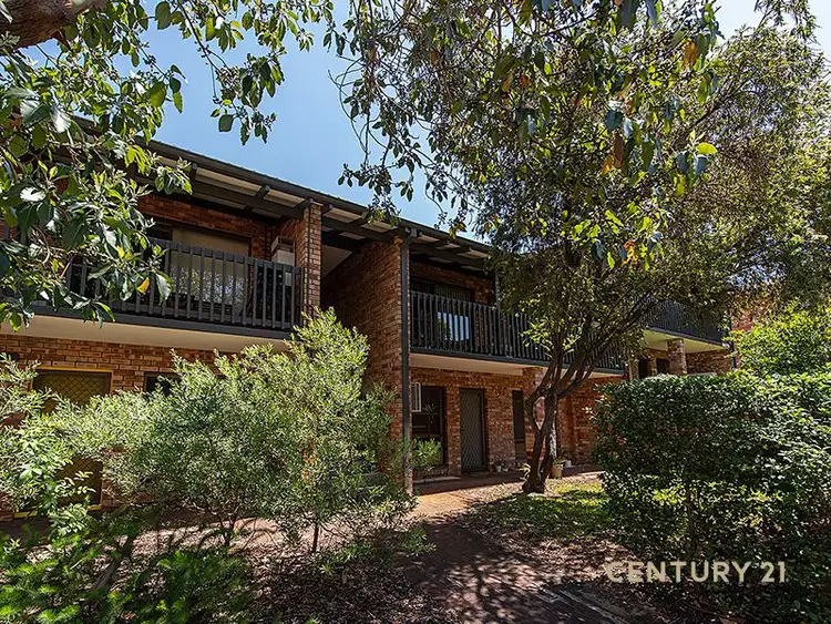 28/13 Storthes Street, Mount Lawley WA 6050