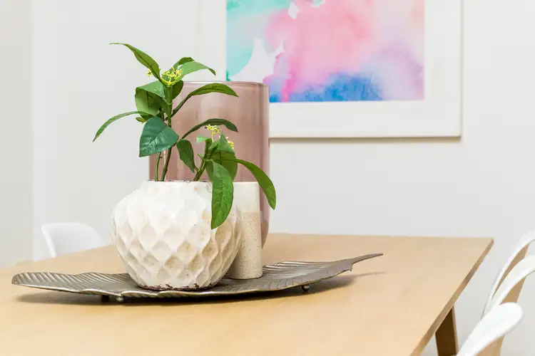 Sixth view of Homely apartment listing, 15/193 President Avenue, Monterey NSW 2217