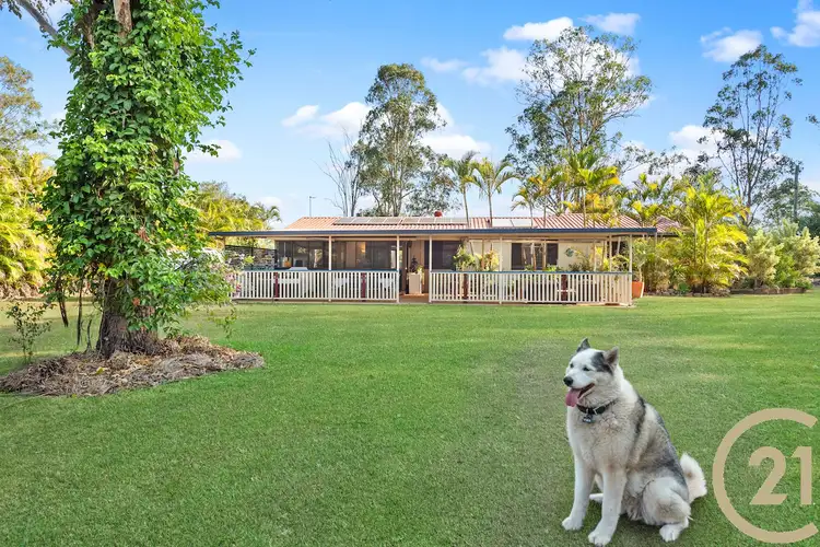 Main view of Homely house listing, 558 Caboolture River Road, Upper Caboolture QLD 4510