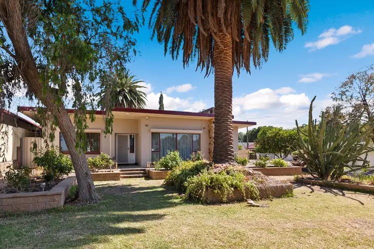 Main view of Homely house listing, 43 The Parade, Holden Hill SA 5088
