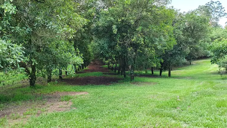 Second view of Homely other listing, Address available on request