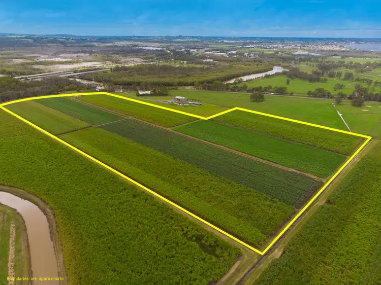 55 Pimlico Road, Pimlico NSW 2478