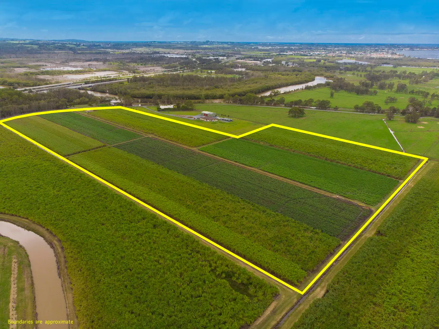 Main view of Homely rural property listing, 55 Pimlico Road, Pimlico NSW 2478