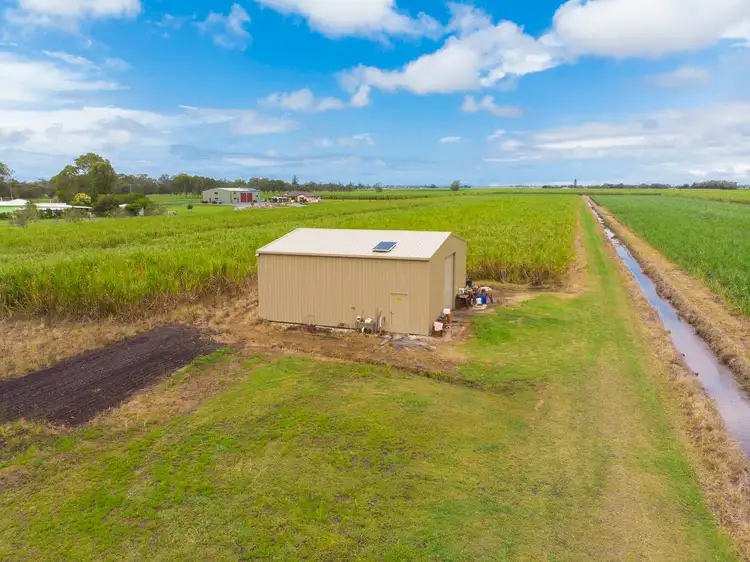 Second view of Homely rural property listing, 55 Pimlico Road, Pimlico NSW 2478