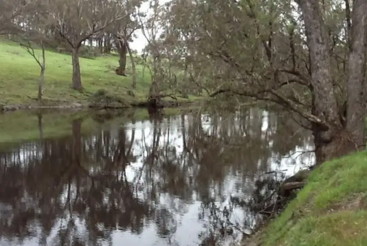 Sixth view of Homely rural property listing, 2095 Winnejup Rd, Mayanup WA 6244