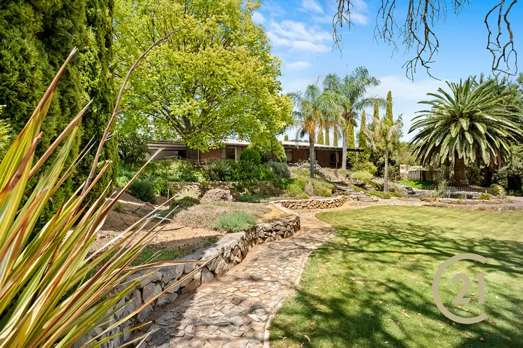 113 Murray Street, Angaston SA 5353