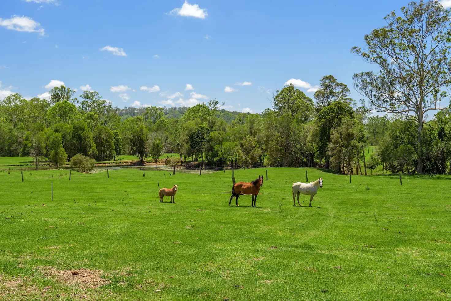 Main view of Homely house listing, 25 Traveston Crossing Road, Kybong QLD 4570