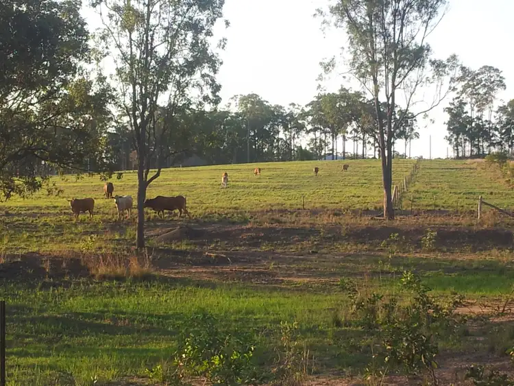 Fifth view of Homely rural property listing, 286 Boughtons Road, Bucca QLD 4670