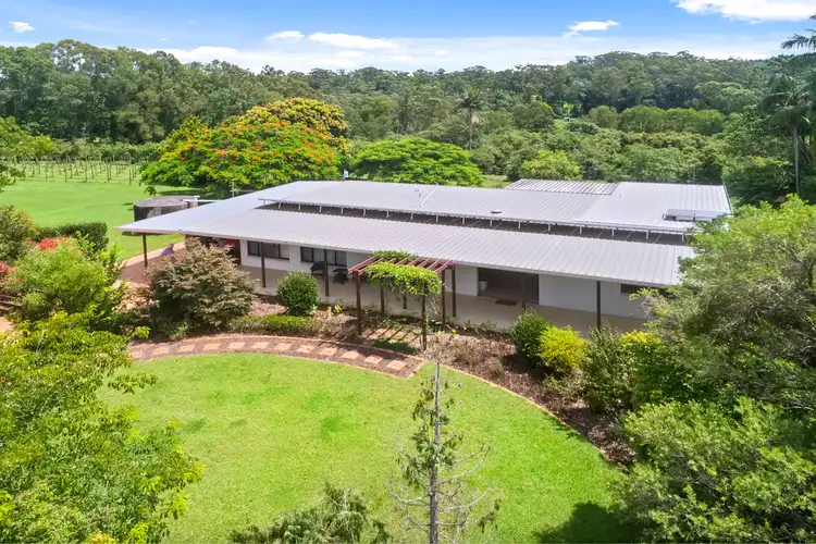 Second view of Homely rural property listing, 205 Winston Road, Palmwoods QLD 4555