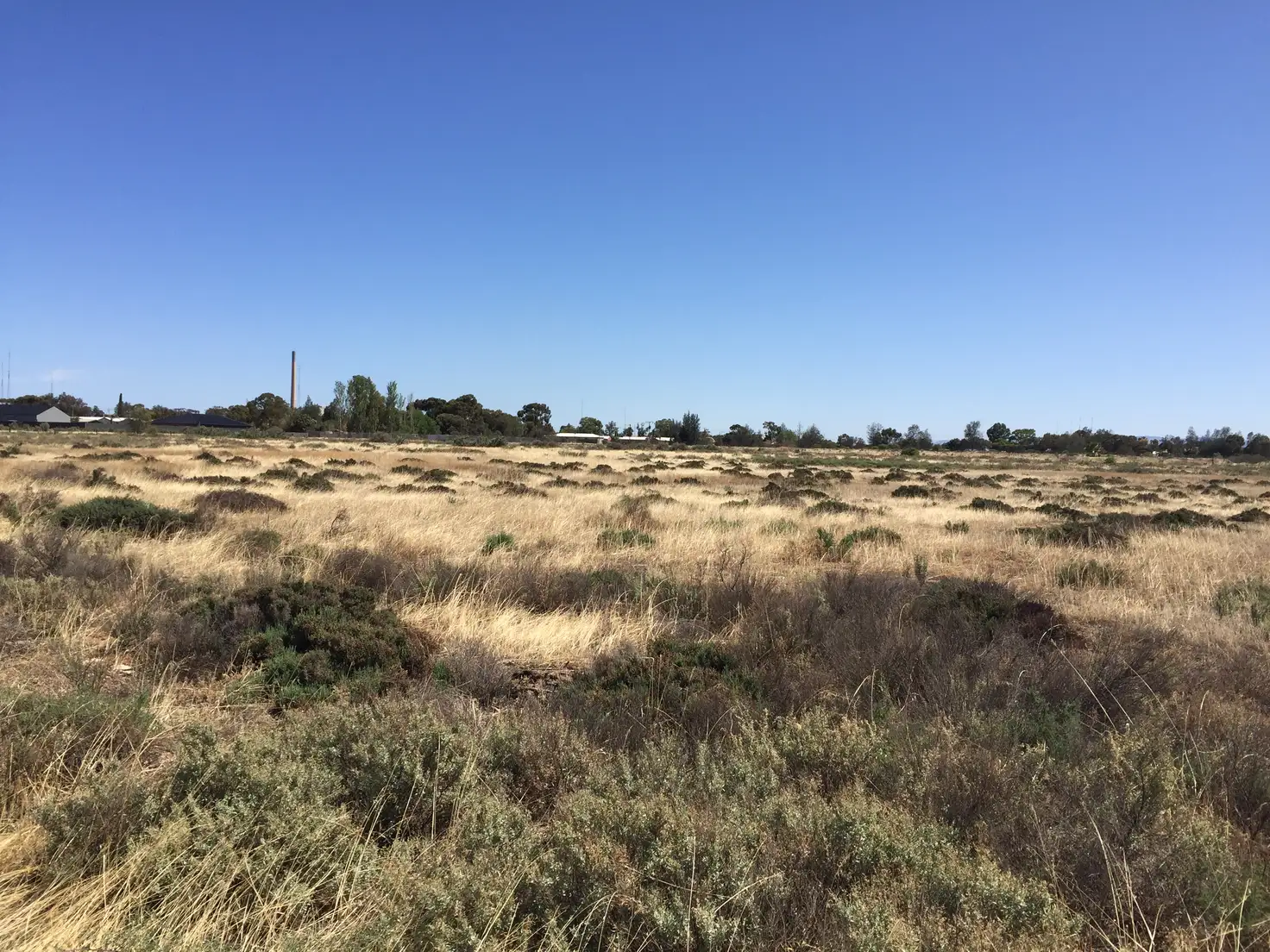 Main view of Homely land listing, Lot 367 Haslam Road, Port Pirie SA 5540