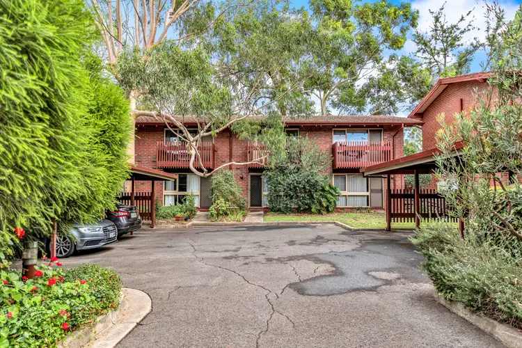 3/36 Trevelyan Street, Wayville SA 5034