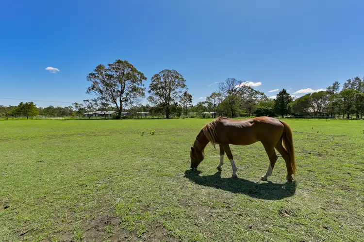 Sixth view of Homely rural property listing, 50 Bargo Road, Bargo NSW 2574