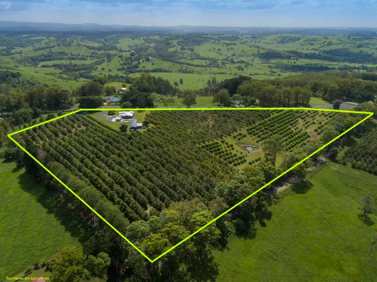 Second view of Homely other listing, 683 Dunoon Road, Tullera NSW 2480