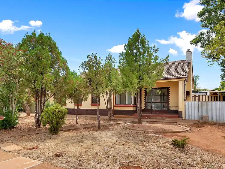 20 Coleman Road, Elizabeth Downs SA 5113