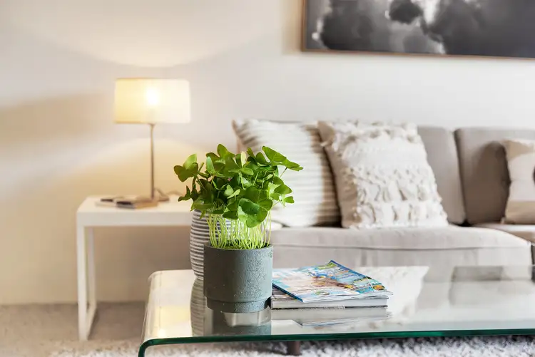 Main view of Homely apartment listing, 1/115 Burns Bay Road, Lane Cove NSW 2066