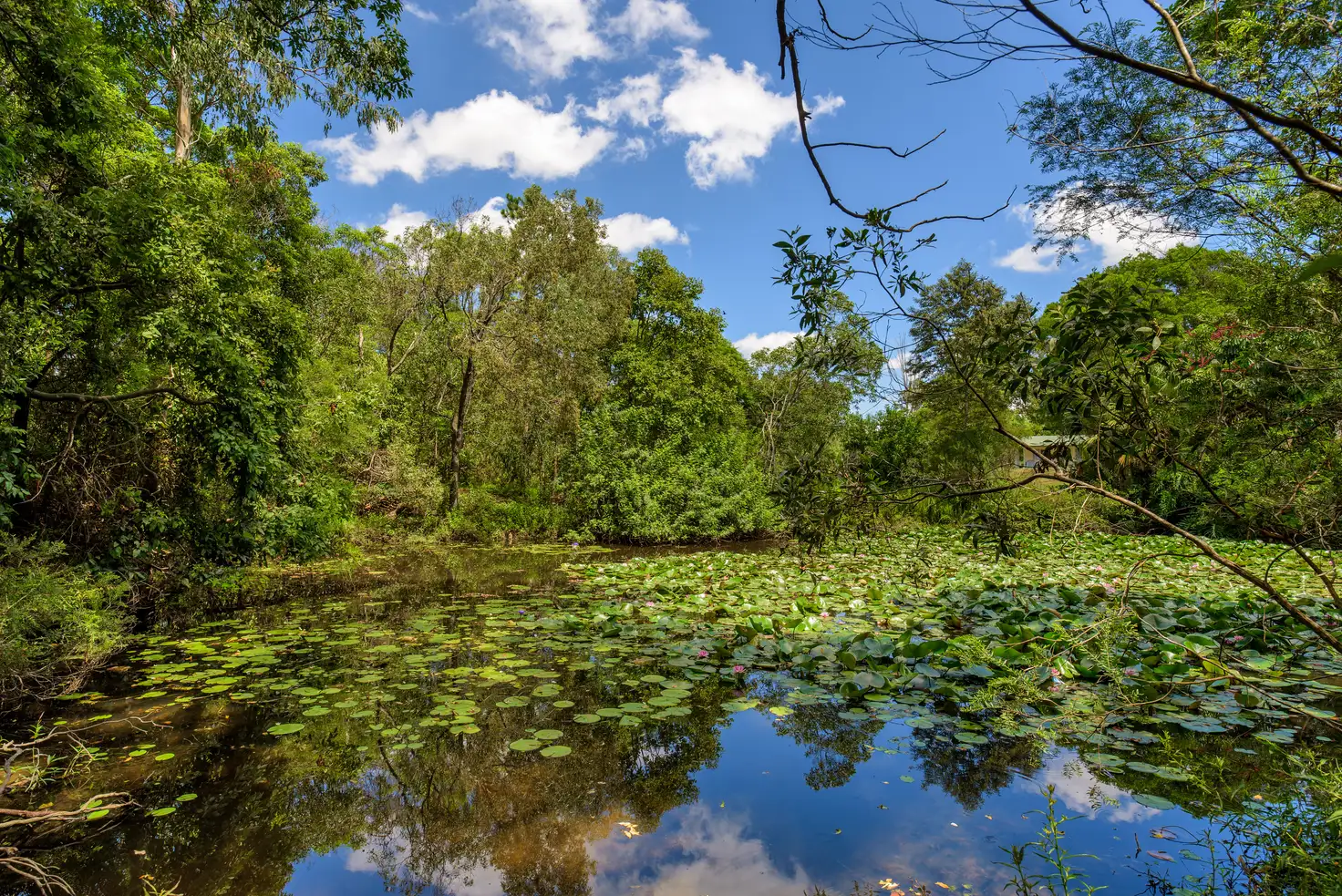 Main view of Homely house listing, 9 Corella Court, Gympie QLD 4570