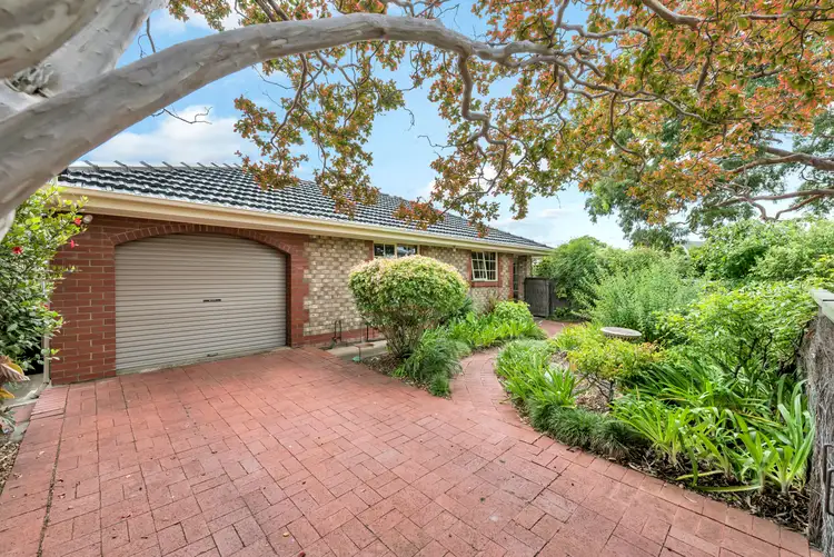 5/3 Pine Avenue, Warradale SA 5046