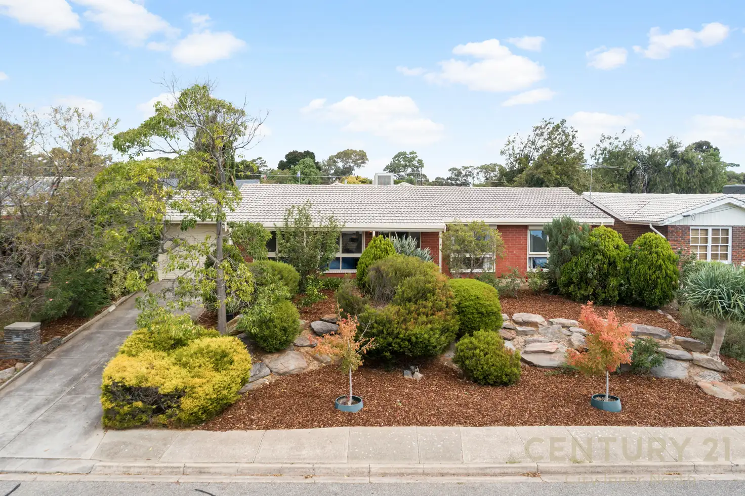 Main view of Homely house listing, 19 Calomba Crescent, Happy Valley SA 5159