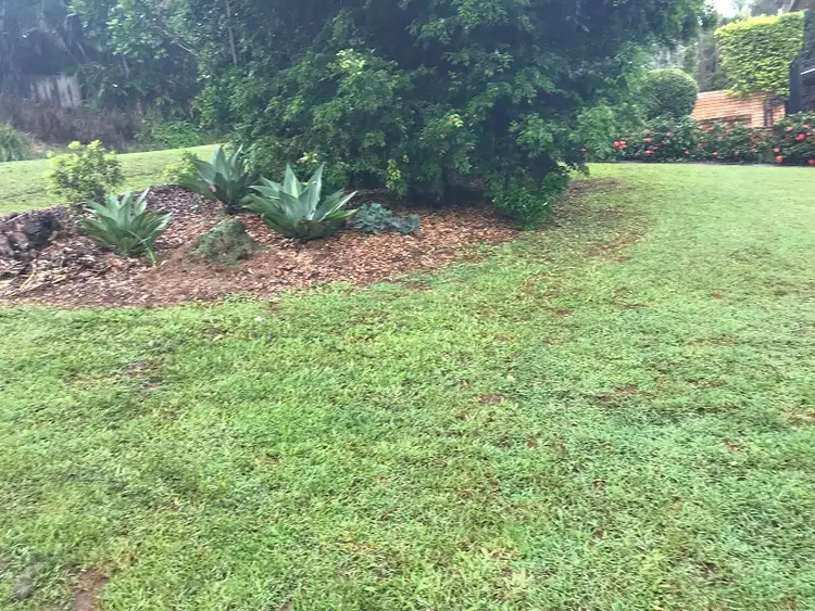 Third view of Homely house listing, 22 Dinmore Street, Woombye QLD 4559