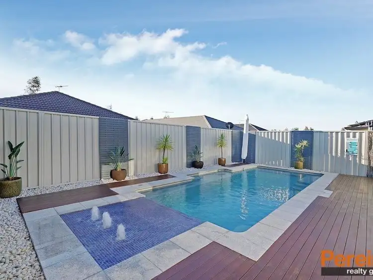 15 Alchornea Circuit, Mount Annan NSW 2567