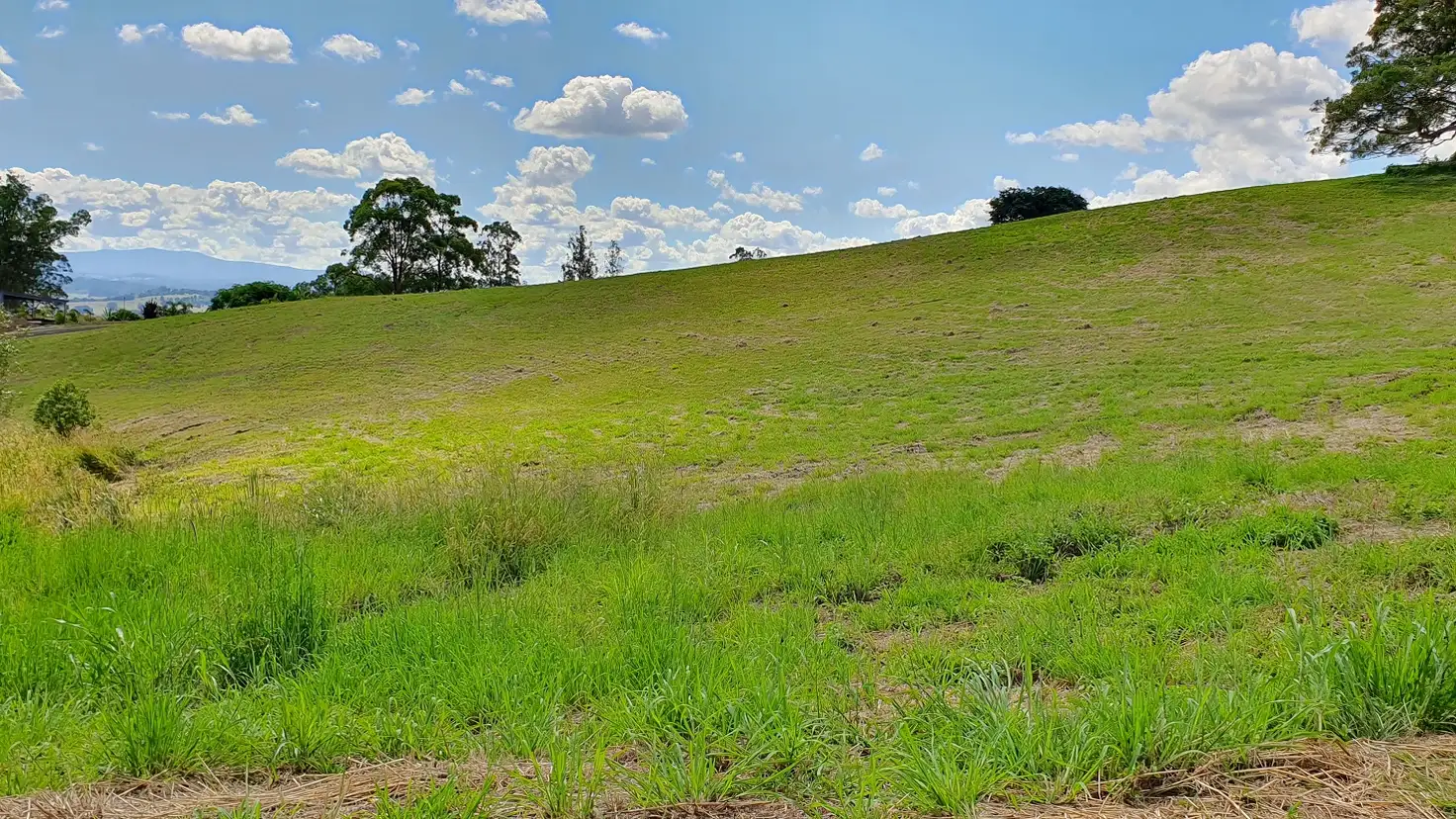 Main view of Homely other listing, 9 Lincoln Avenue, Mcleans Ridges NSW 2480
