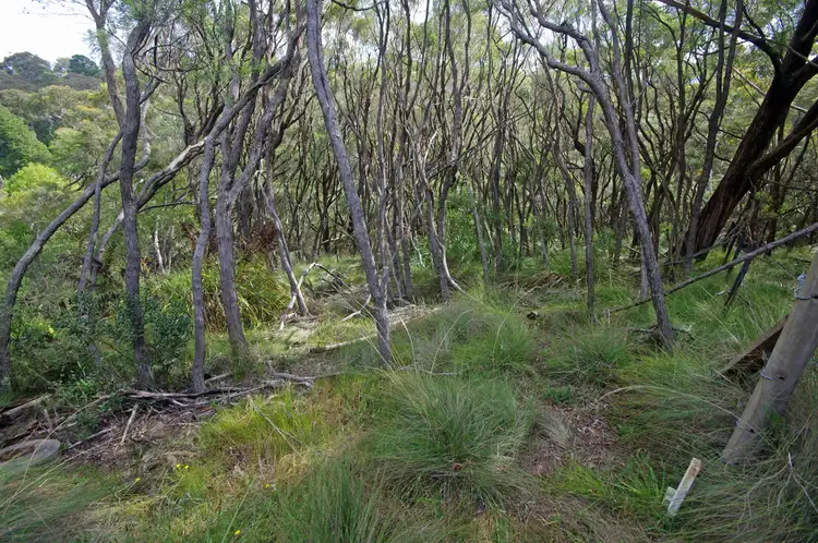 Third view of Homely land listing, 17 Kundibar St, Blackheath NSW 2785