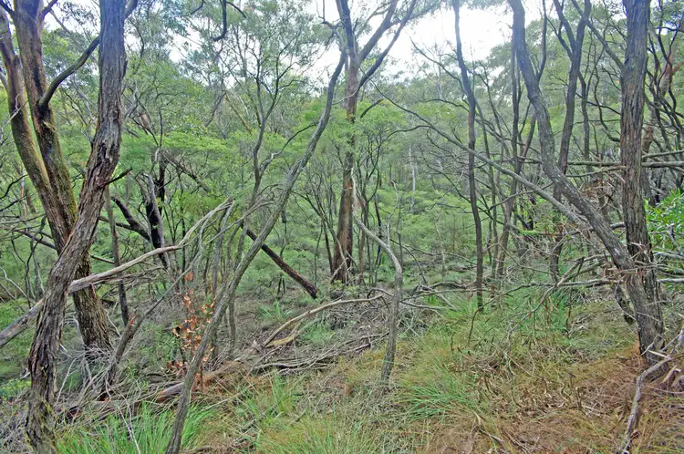 Fifth view of Homely land listing, 17 Kundibar St, Blackheath NSW 2785