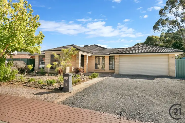 Main view of Homely house listing, 14 Maple Ave, Nuriootpa SA 5355