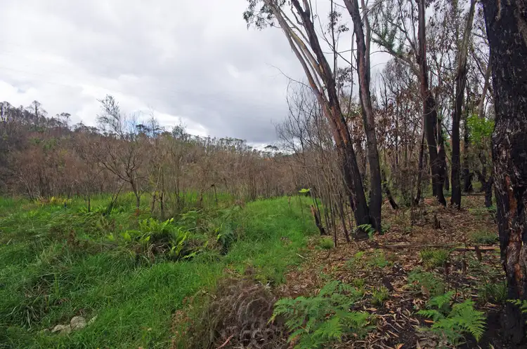 Sixth view of Homely land listing, 238 Connaught Rd, Blackheath NSW 2785