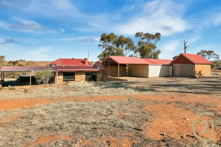 Main view of Homely rural property listing, 79 Levi Road, Dutton SA 5356