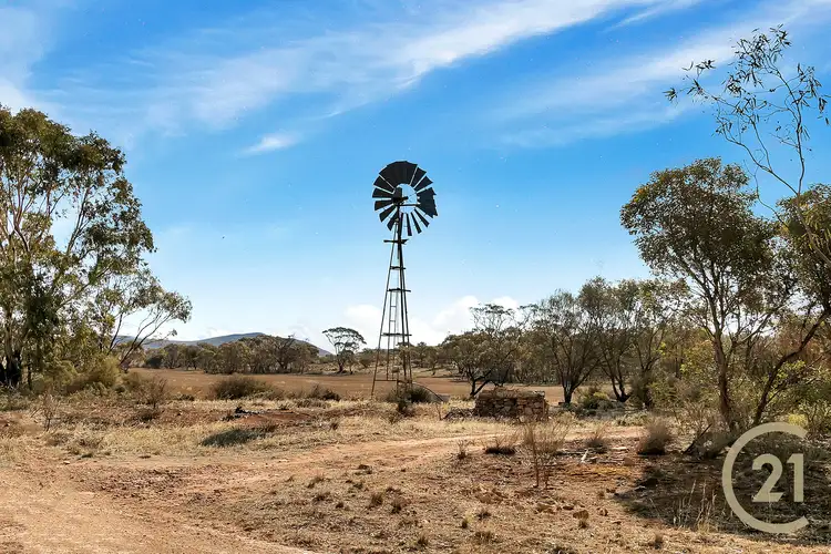 Fifth view of Homely rural property listing, 79 Levi Road, Dutton SA 5356