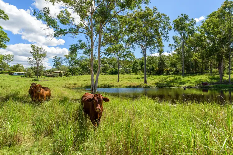 500 Old Maryborough Road, Tamaree QLD 4570