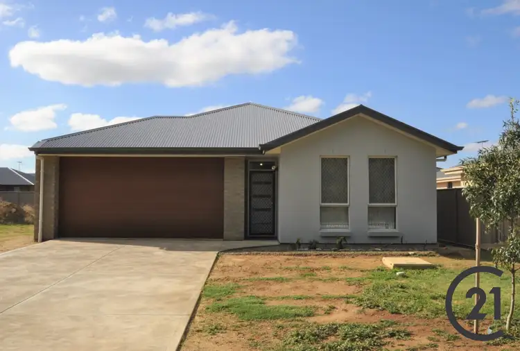 Main view of Homely house listing, 20 Fairbrother Cct, Nuriootpa SA 5355
