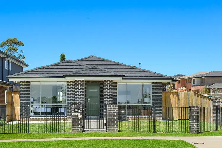 Main view of Homely house listing, 14 Tamborine Drive, Minto NSW 2566