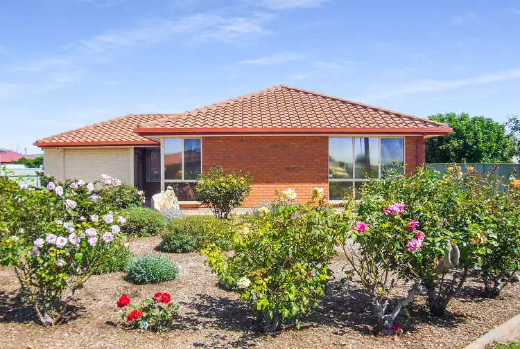 Main view of Homely house listing, 53 Croser Avenue, Aldinga Beach SA 5173