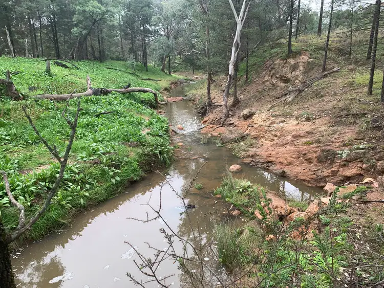 Sixth view of Homely rural property listing, Lot 89 Amaroo Way, Eugowra NSW 2806