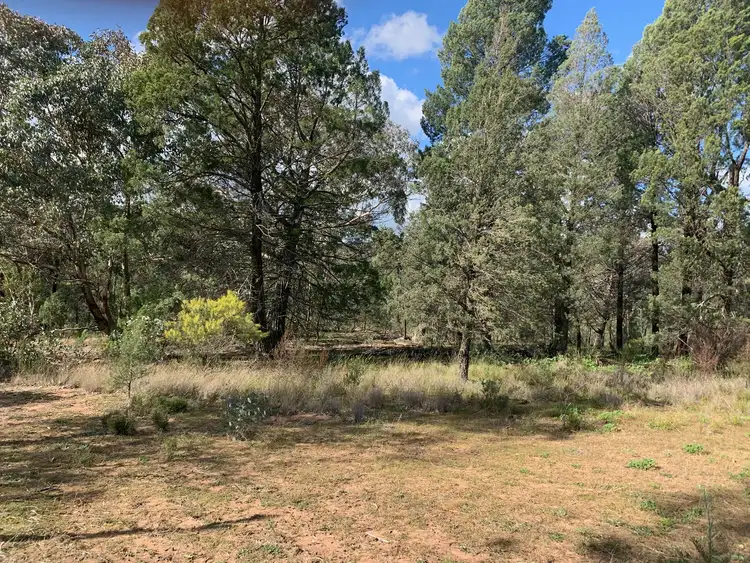 Seventh view of Homely rural property listing, Lot 89 Amaroo Way, Eugowra NSW 2806