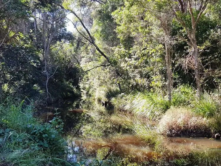 Lot 58 Off Fisher, Tamaree QLD 4570