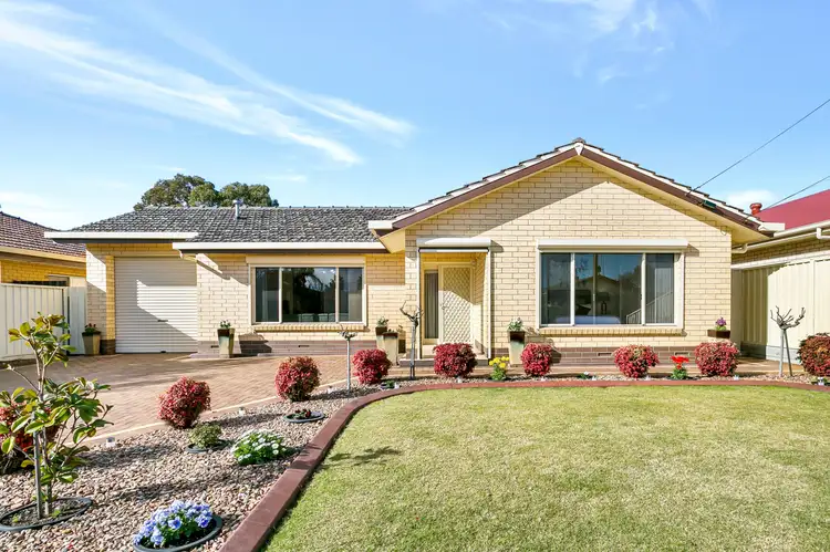 19 Myer Avenue, Plympton SA 5038