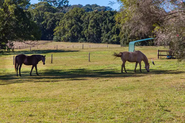 Third view of Homely rural property listing, 135 Old Palmwoods Road, West Woombye QLD 4559