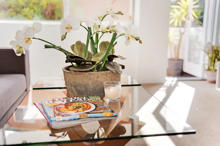 Main view of Homely apartment listing, 1/13 Isabel Street, Ryde NSW 2112